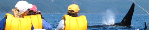 broughton archipelago kayak tours